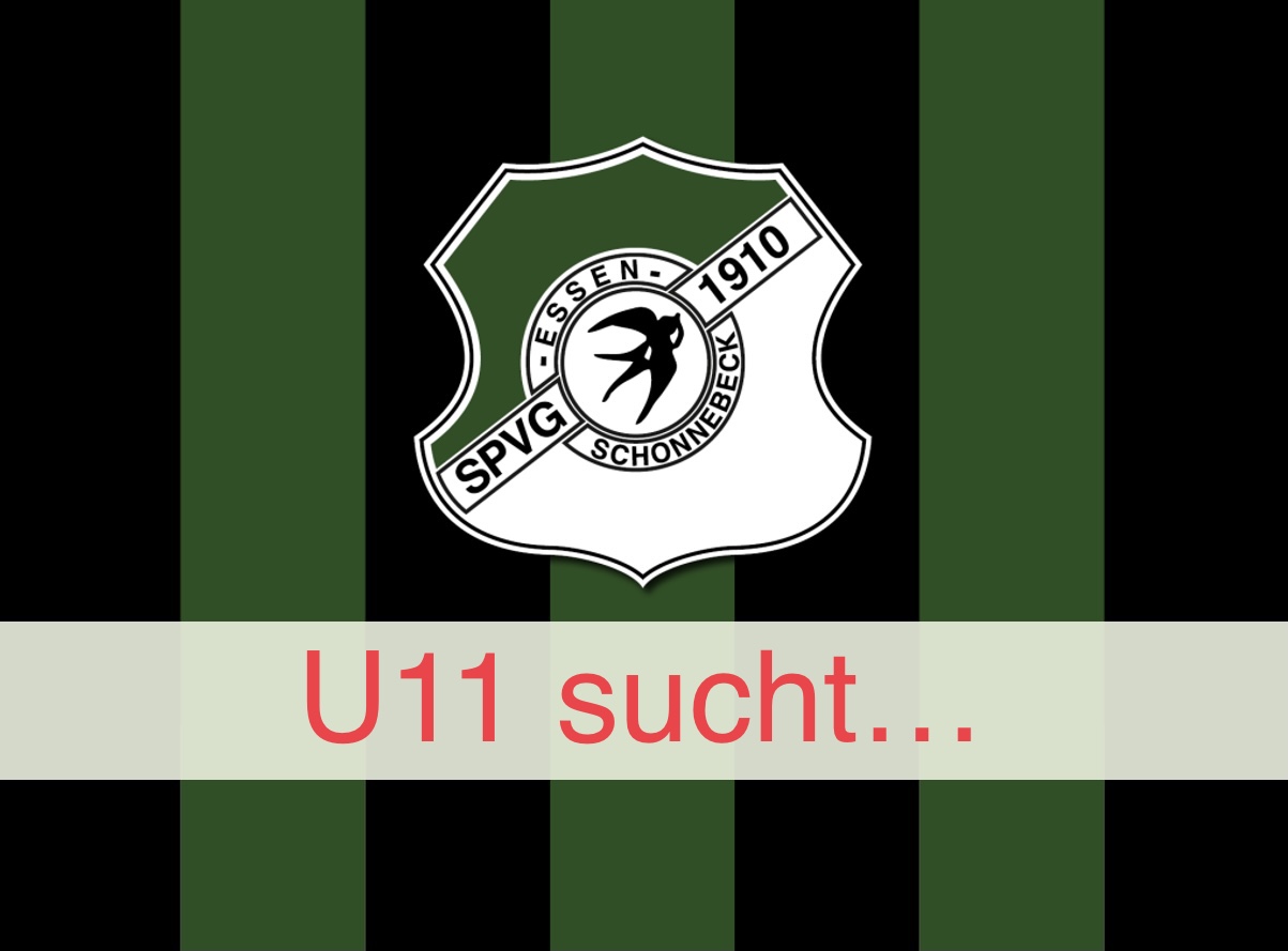 Fußballbegeisterte Jungs für die U11 gesucht post thumbnail image